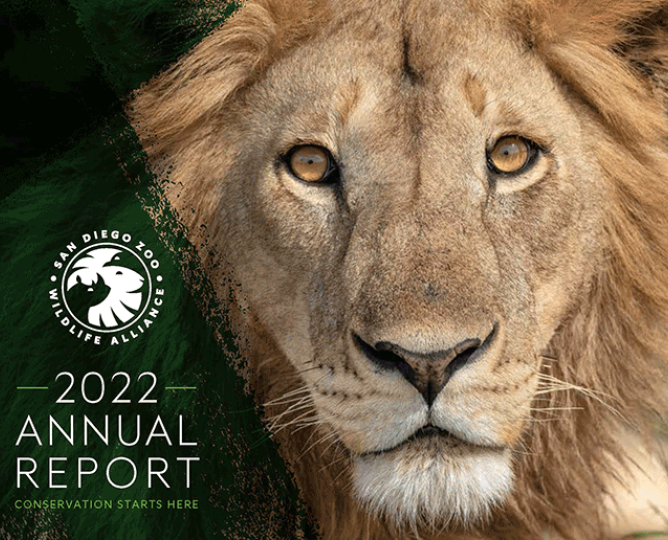 2022 Annual Report