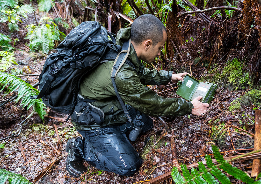 SDZWA researcher in the forest